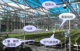 433M無線串口模塊E30-TTL-100在農(nóng)業(yè)物聯(lián)網(wǎng)應(yīng)用