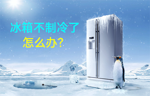 【物聯(lián)網(wǎng)科普視頻】智能冰箱不制冷了怎么辦？