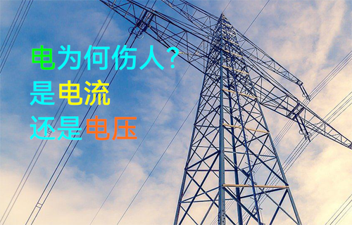 【科普視頻】觸電傷人的到底是什么？