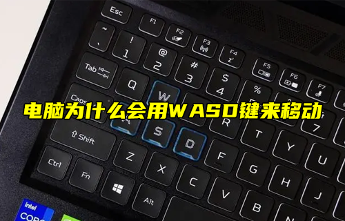 【科普視頻】電腦為什么會用WASD鍵來移動？