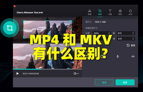 【科普視頻】MP4和MKV有什么區(qū)別？