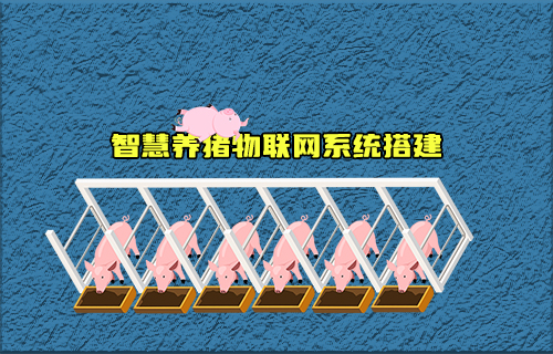 【科普視頻】智慧養(yǎng)豬物聯(lián)網(wǎng)系統(tǒng)如何搭建？有什么功能？