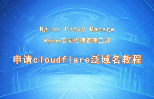 【服務(wù)器】Nginx Proxy Manager申請(qǐng)cloudflare泛域名教程