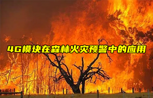 【物聯(lián)科普】4G模塊在森林火災預警中的應用